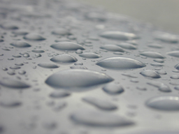 Sum Pumps.net | You Probably Mean Sump Pumps. Sump Pump Replacement and Sump Pump Repair or Sum Pump Installation and Sum Pump Maintenance.